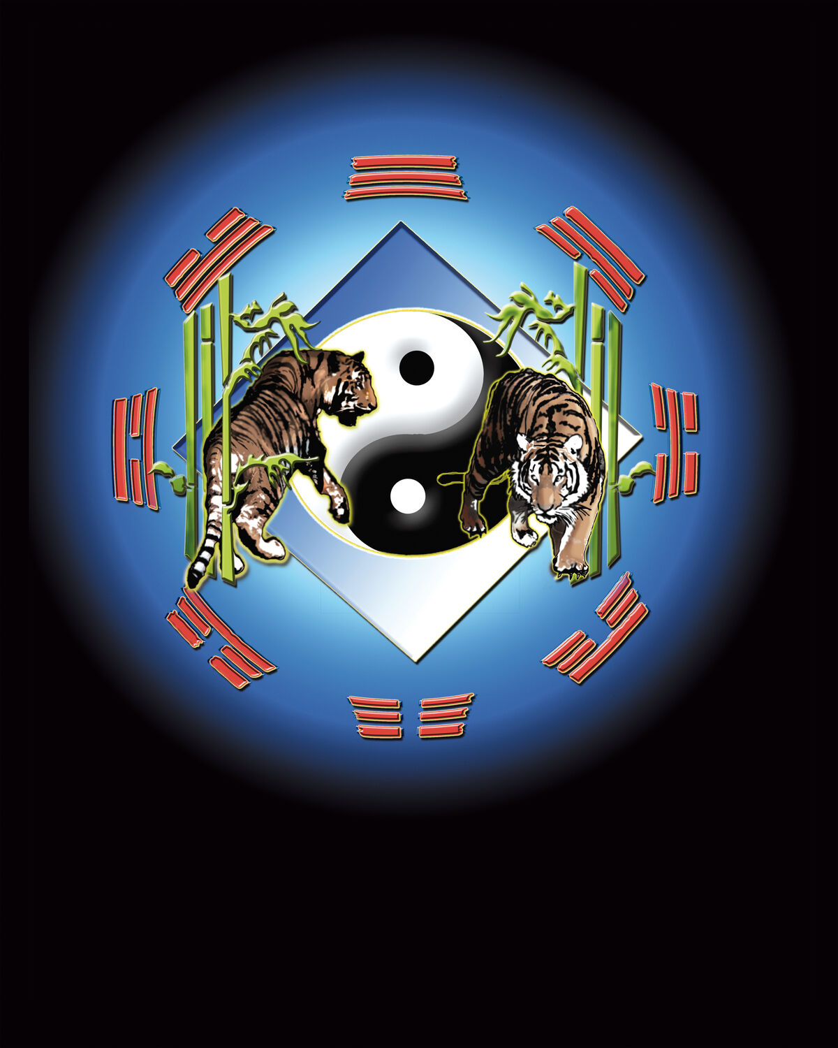 PROGRAMMES — Viet Vo Dao, club Kim Ho Ba (photo 7)